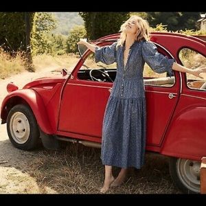 Doen Monet Midblue California wildflower Large